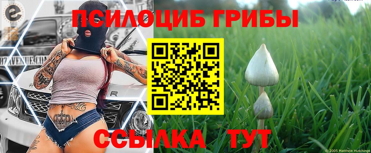 Галлюциногенные грибы мухоморы Дубна